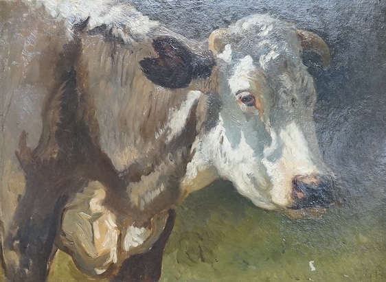 Impressionist oil on board, Study of a cow, initialled G B, 29 x 39cm, ornate gilt frame. Condition - good